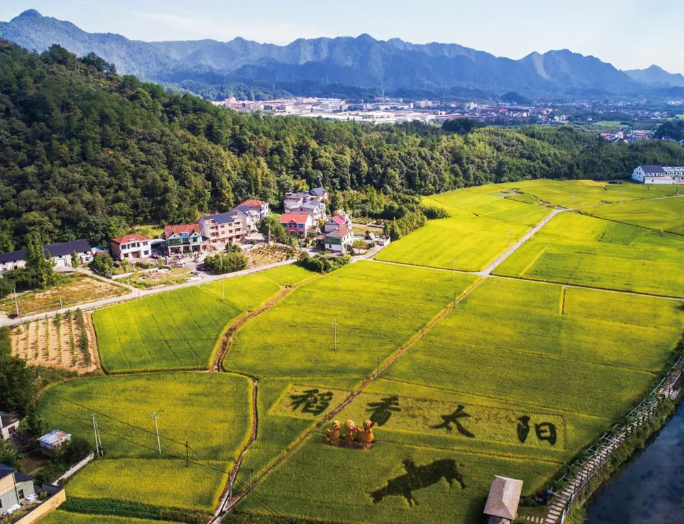 杭州市太阳特色农业强镇