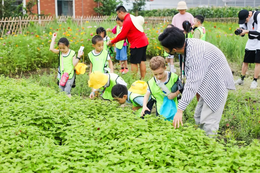 杭州市兰里研学营地